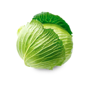 Organic Cabbage