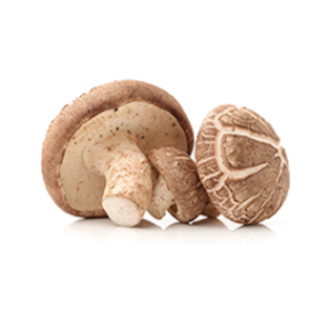 Organic Mushroom