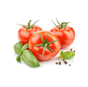 Organic Tomato