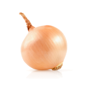 Organic Onion